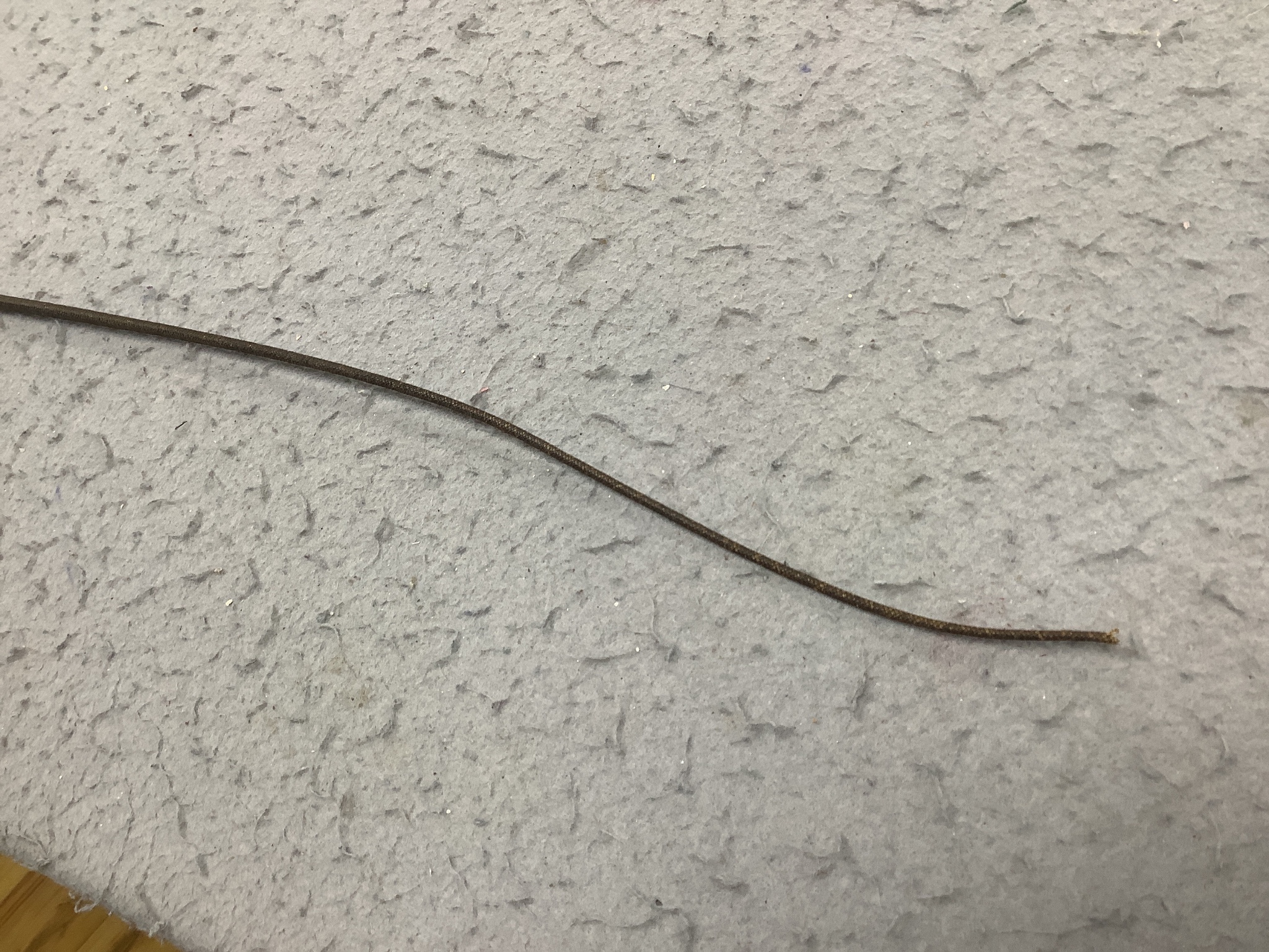 A ‘whippet head’ riding crop or whip. 77cm long